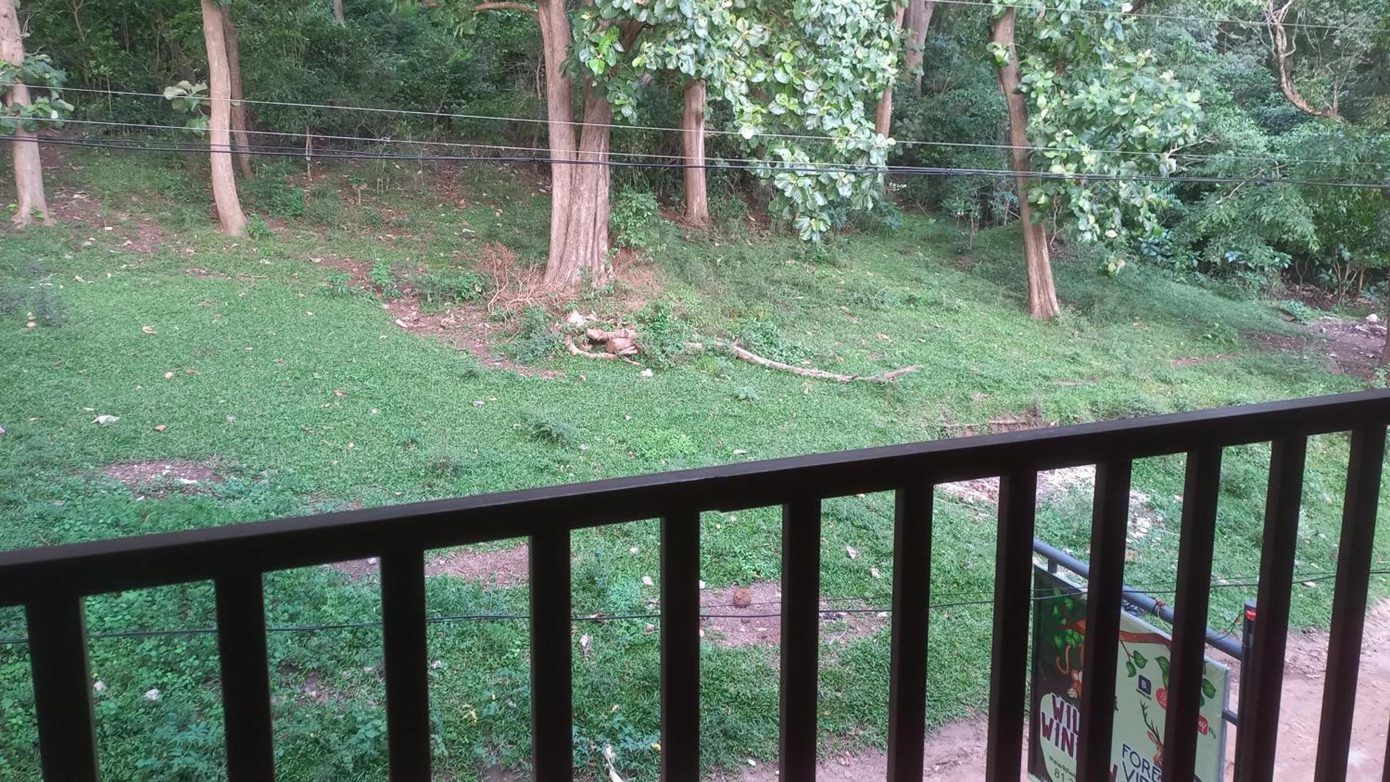 Wild Window - Forest View Homestay Thekkady Exterior foto