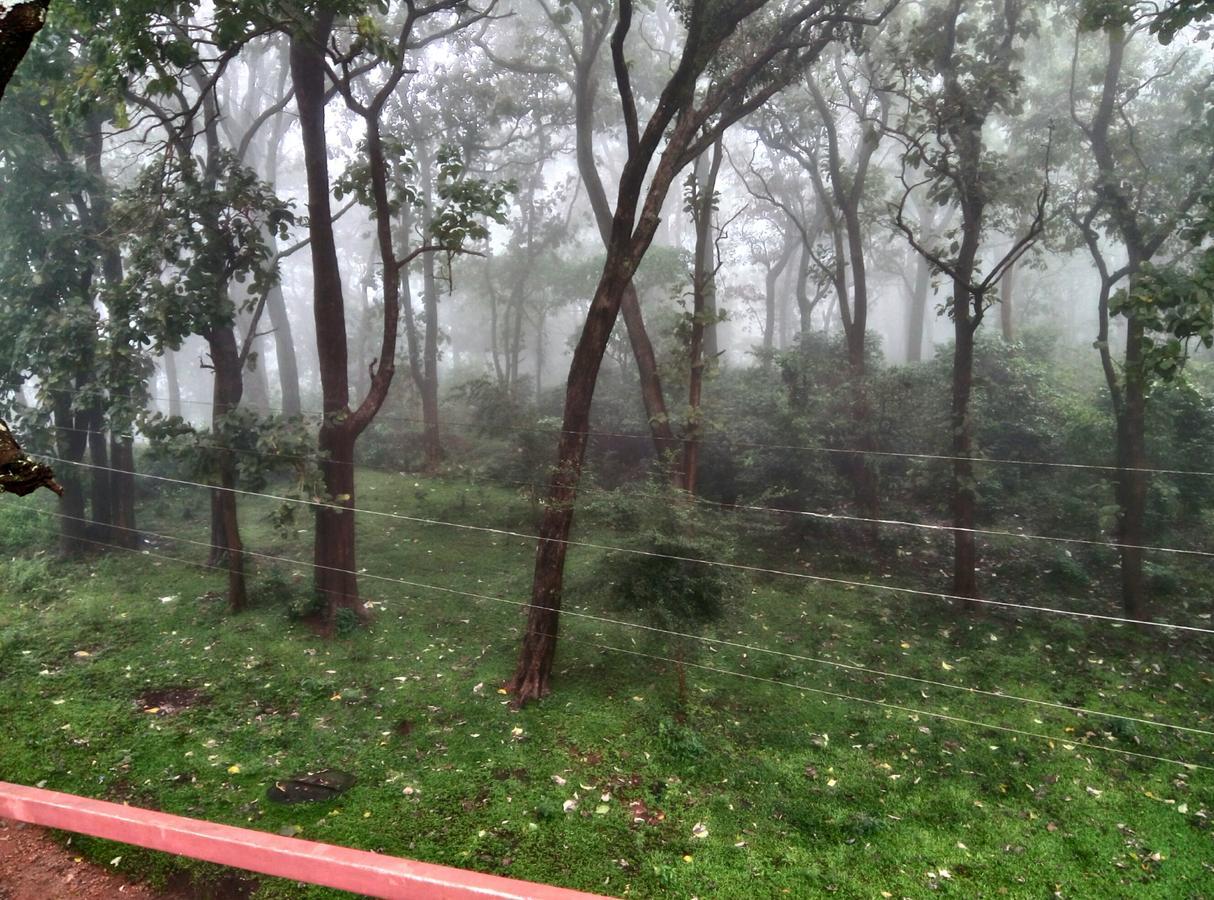 Wild Window - Forest View Homestay Thekkady Exterior foto