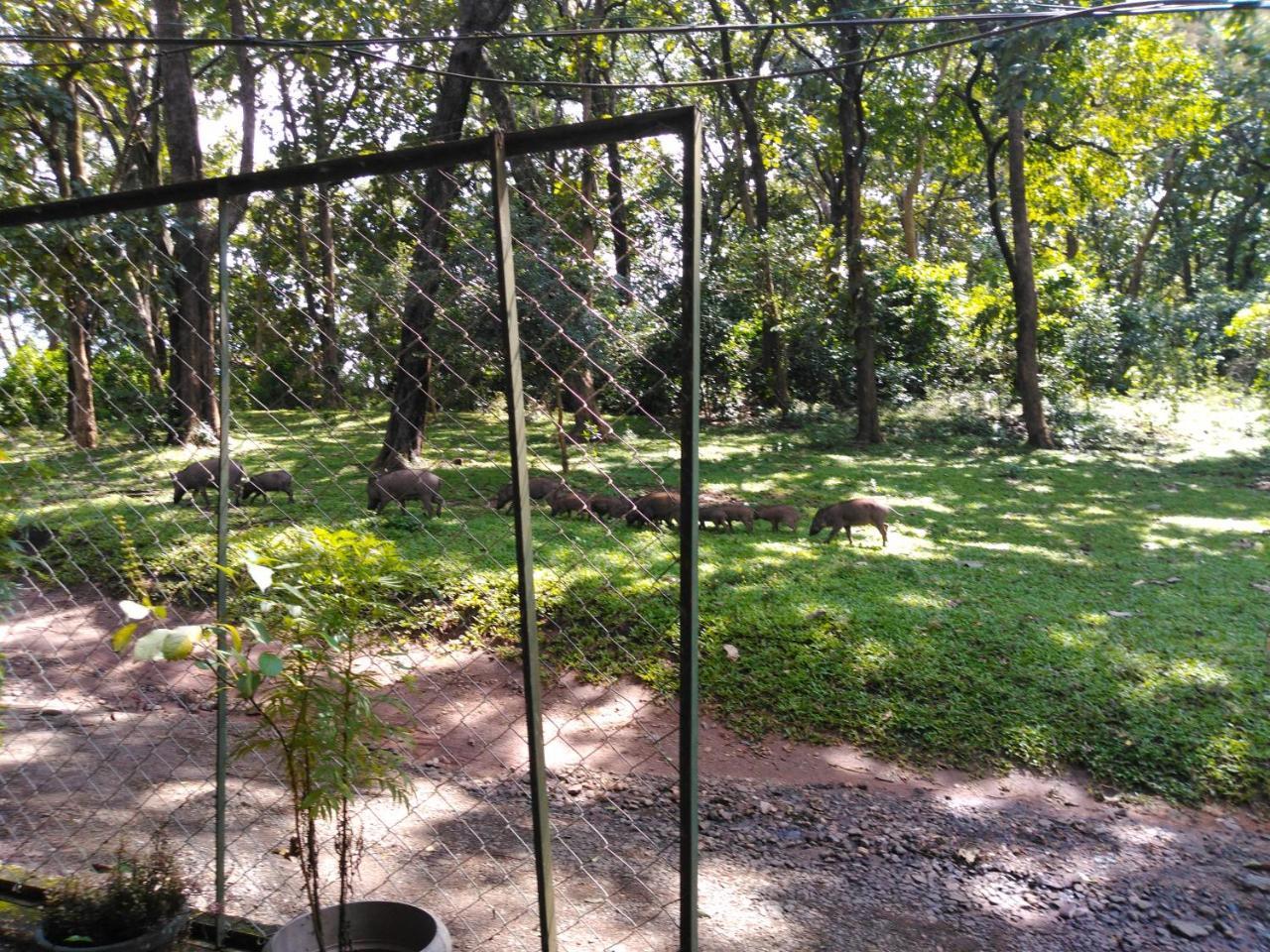 Wild Window - Forest View Homestay Thekkady Exterior foto
